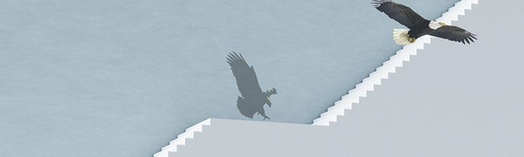 首页| BG大游集团中国官方网站